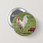 Roster und Hühner Button (Vorne & Hinten)