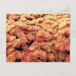 rostfarben postkarte