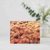 rostfarben postkarte (Stehend Vorderseite)