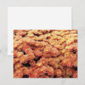 rostfarben postkarte (Vorne/Hinten)