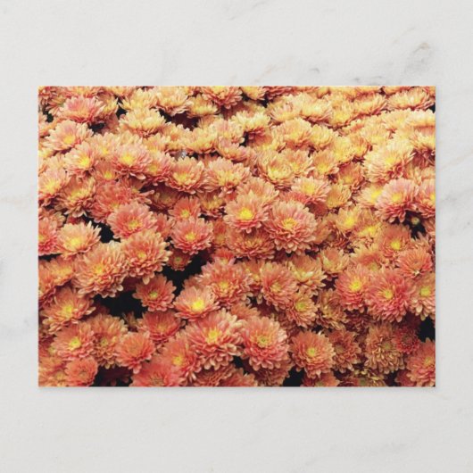 rostfarben postkarte (Vorderseite)