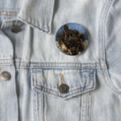 Rostig Button (Beispiel)
