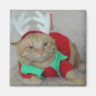 Rostig der Ren-Elf Magnet