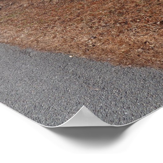 Rostrot Poster (Ecke)