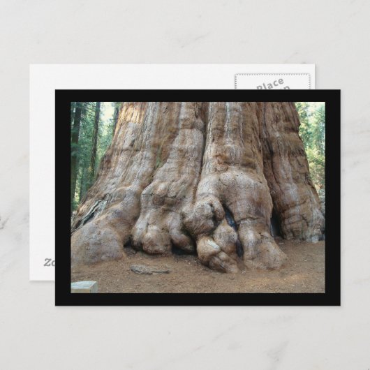 Rostrot Postkarte (Vorne/Hinten)