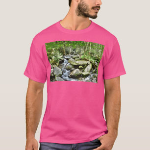 Roswell New Mexico UFO Außerirdischer T-Shirt