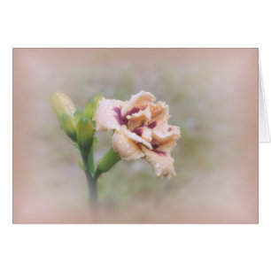 Roswitha Taglilie Floral - Pastel