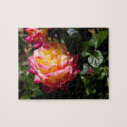 Rosy Glow Puzzle (Horizontal)