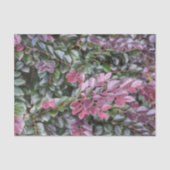 Rosy Lila Green Foliage Botanic Fotografic Seidenpapier (Vorderseite)