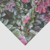 Rosy Lila Green Foliage Botanic Fotografic Seidenpapier (Ausschnitt)