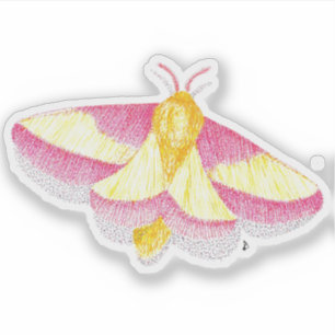 Rosy Maple Moth Aufkleber