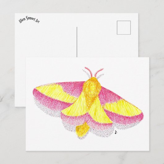 Rosy Maple Moth Postkarte (Vorne/Hinten)