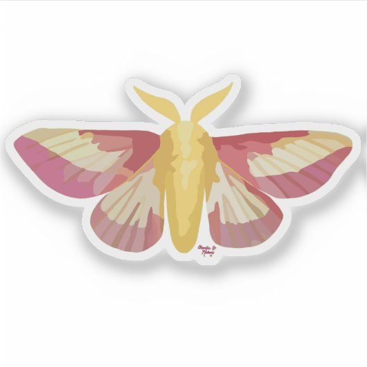 Rosy Maple Moth Sticker (Vorderseite)