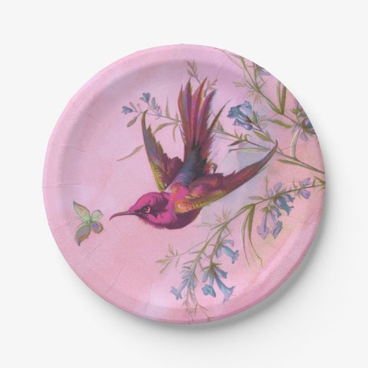 Rosy Red Hummingbird Pappteller (Vorderseite)