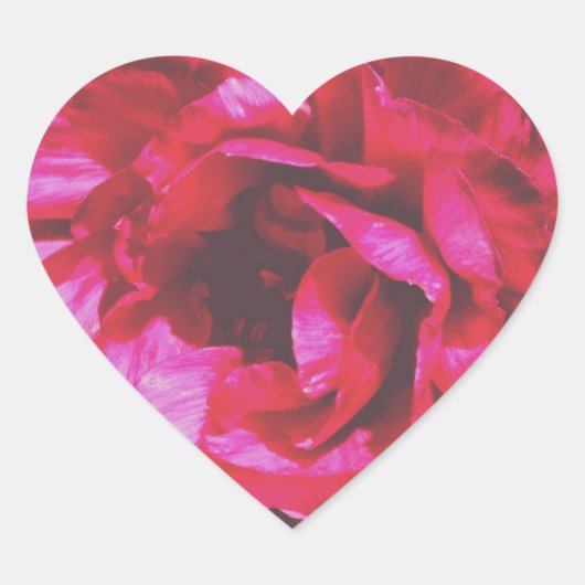 Rosy Rose Heart Stickers (Vorderseite)