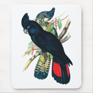 Rot angebunden, schwarze (Banksian) Cockatoos. Mousepad