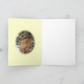 Rot angebundene Falke-Gruß-Karte Karte (Innenseite)