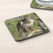 Rot angebundene Falke-Untersetzer Getränkeuntersetzer (Linke Seite)