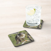 Rot angebundene Falke-Untersetzer Getränkeuntersetzer (Rechte Seite)