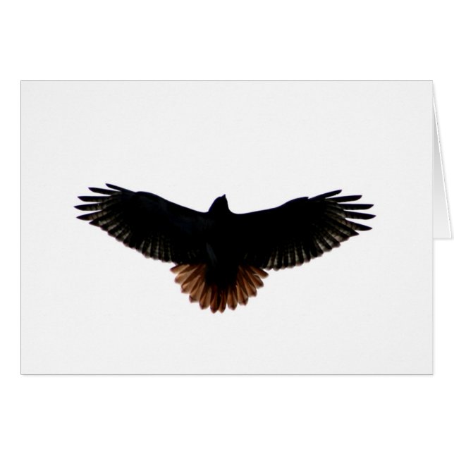 Rot-angebundener Falke (Vorderseite (Horizontal))