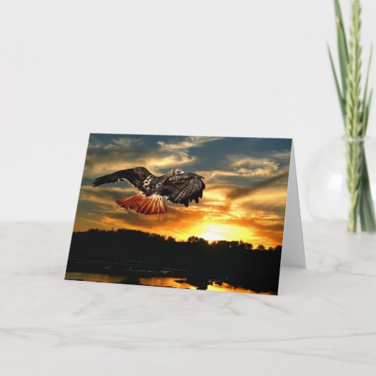 Rot angebundener Falke am Sonnenuntergang Karte (Vorderseite)
