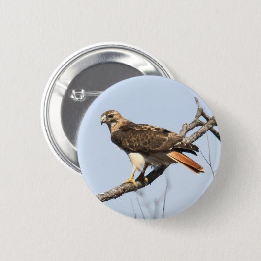 Rot-angebundener Falke Button (Vorne & Hinten)