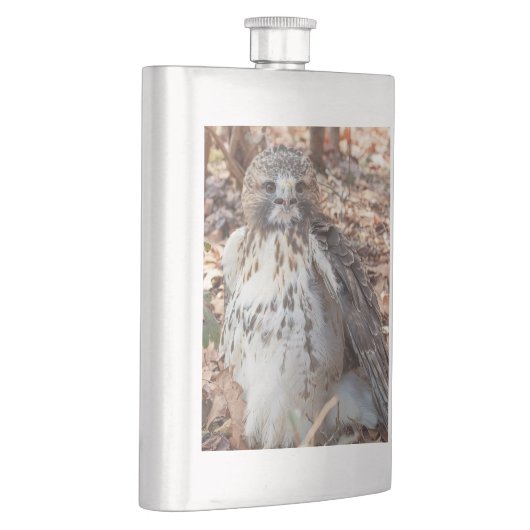 Rot angebundener Falke Flachmann (Rechts)