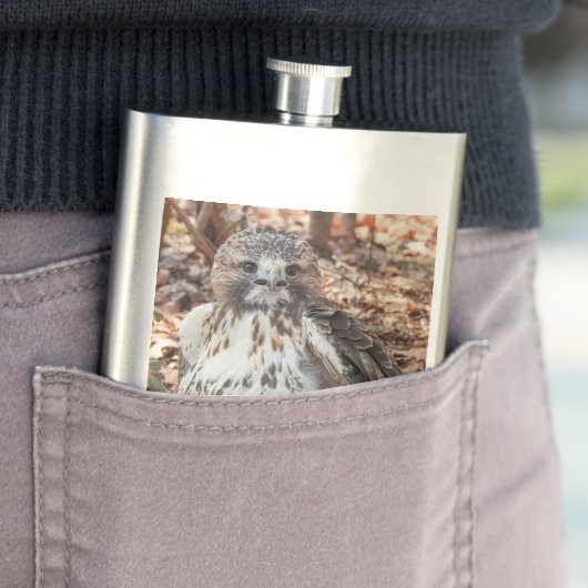 Rot angebundener Falke Flachmann (Beispiel)