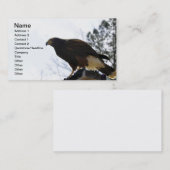 Rot angebundener Falke gegen einen blauer Visitenkarte (Vorne/Hinten)