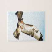 Rot-angebundener Falke im Flug-Foto Puzzle (Horizontal)