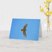 Rot-Angebundener Falke im Flug Karte (Gelbe Blume)