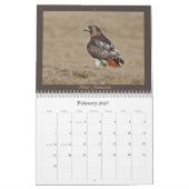 Rot-angebundener Falke-jährlicher Kalender (Feb 2027)