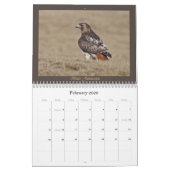 Rot-angebundener Falke-jährlicher Kalender (Feb 2026)