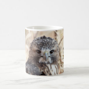 Rot angebundener Falke Kaffeetasse