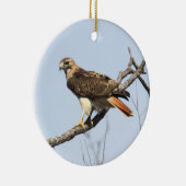 Rot-angebundener Falke Keramik Ornament (Rechts)