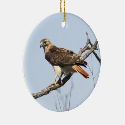 Rot-angebundener Falke Keramik Ornament (Rechts)