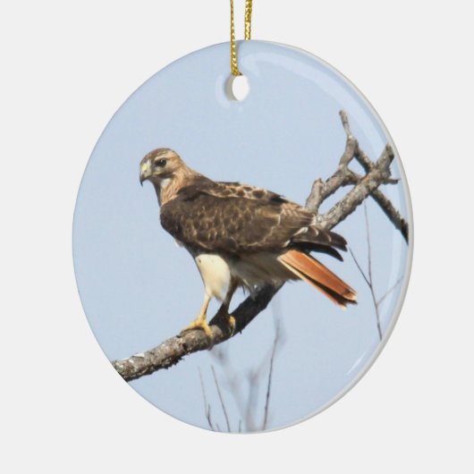 Rot-angebundener Falke Keramik Ornament (Links)