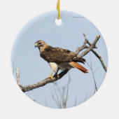 Rot-angebundener Falke Keramik Ornament (Hinten)