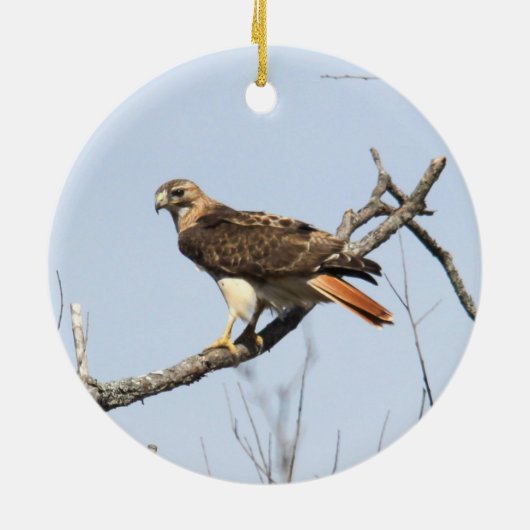 Rot-angebundener Falke Keramik Ornament (Hinten)