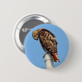 Rot-Angebundener Falke-Knopf Button (Vorne & Hinten)
