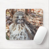 Rot angebundener Falke Mousepad (Mit Mouse)