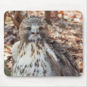 Rot angebundener Falke Mousepad (Vorne)