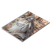 Rot angebundener Falke Notizblock (Linke Seite)