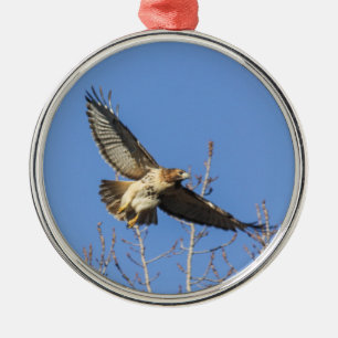 Rot-angebundener Falke Ornament Aus Metall