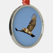 Rot-angebundener Falke Silbernes Ornament (Rechts)