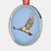 Rot-angebundener Falke Silbernes Ornament (Links)