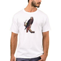 Rot angebundener Falke