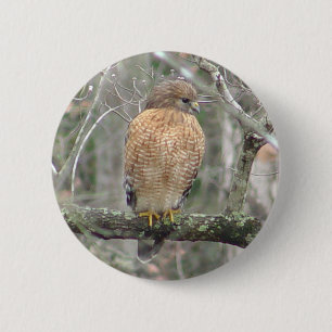 Rot angebundener Falke-Vogel-Knopf Button