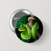Rot-angebundenes Bambuspitviper Button (Vorne & Hinten)