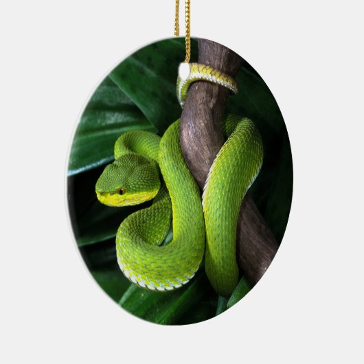 Rot-angebundenes Bambuspitviper Keramik Ornament (Rechts)